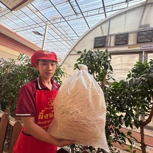 ขนมจีนเส้นใหญ่เกรดรอง3กิโลกรัม အကြီးမားတဲ့ မုန့်ဟင်းခါးမြီး (Grade B) 3 kg အထုပ်ကြီး အထူးစျေး! 210 บาท သာ!